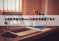 小蚁区块链公司ceo[小蚁区块链涨了多少倍]